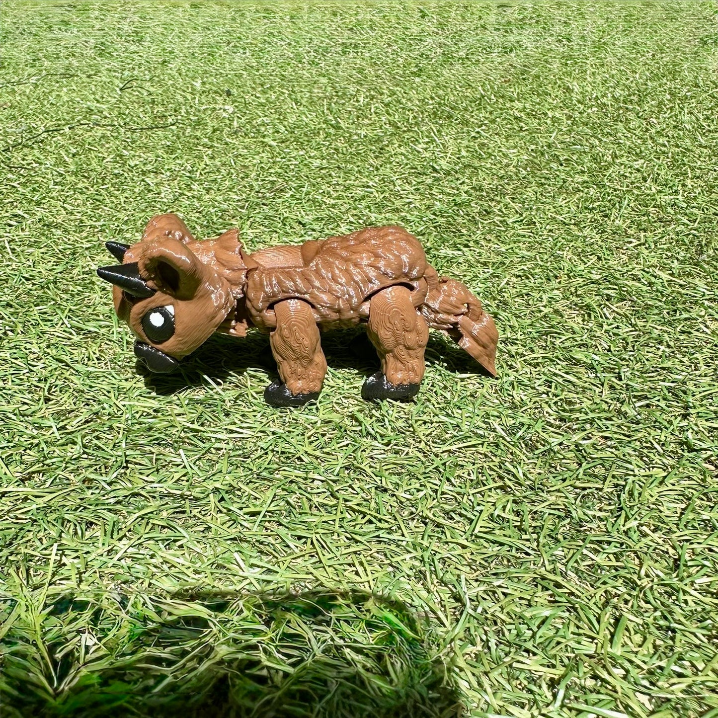 Highland Cow