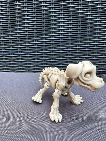 Skeleton dog