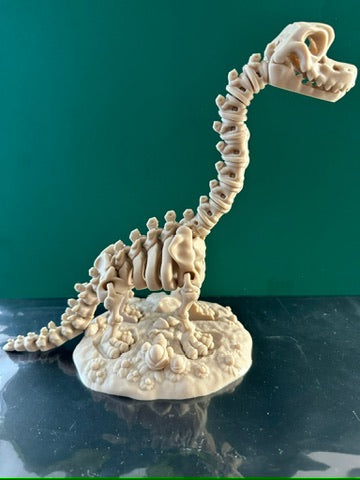 Brachiosaurus skeleton