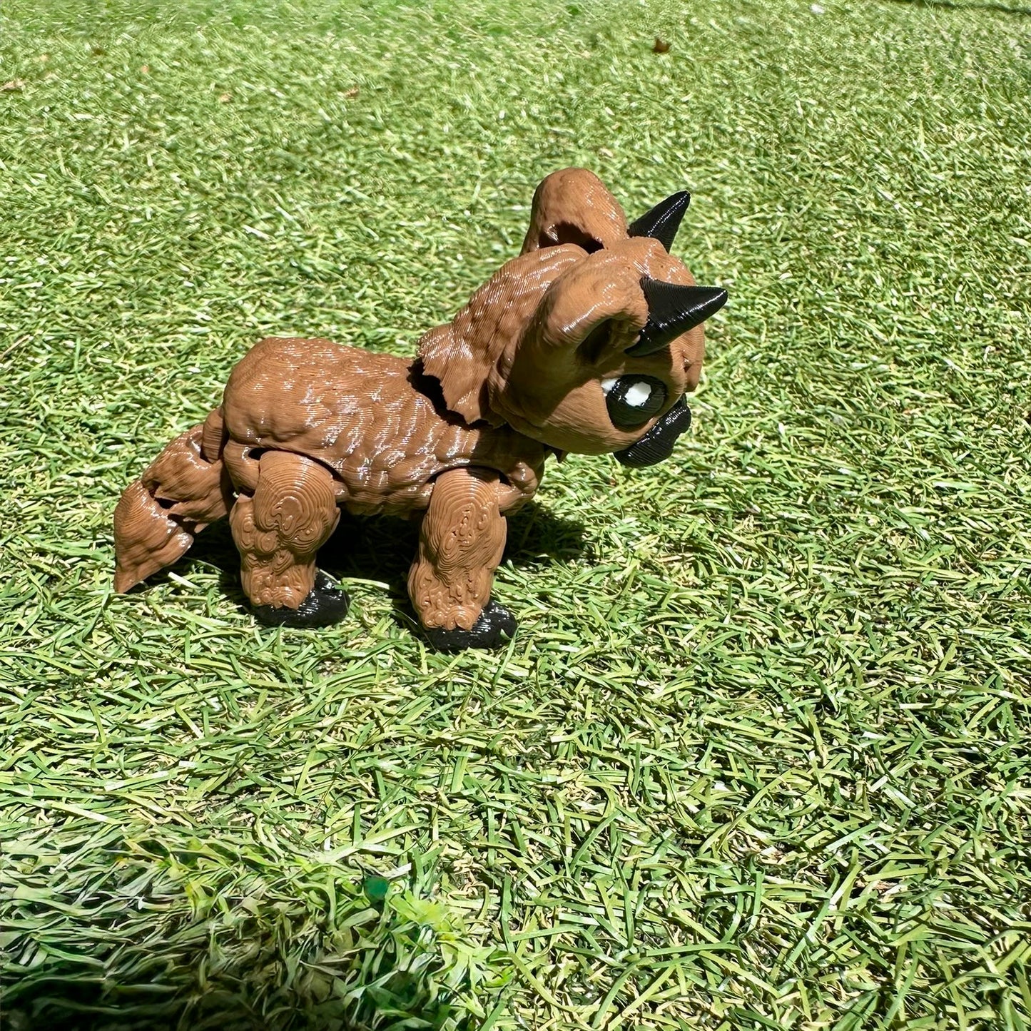 Highland Cow