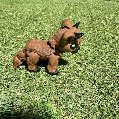 Highland Cow