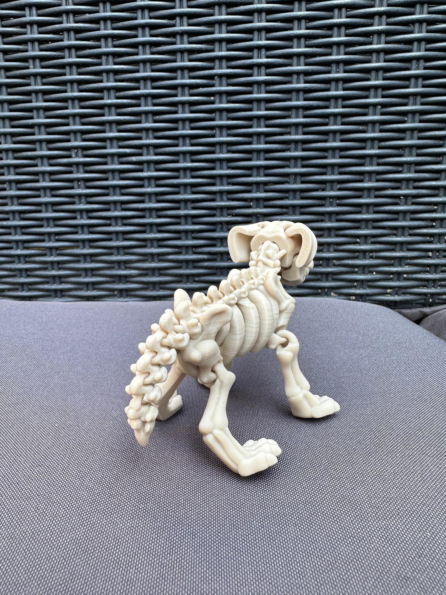 Skeleton dog