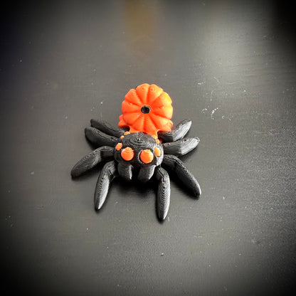 Tiny Jumping Spider Jack-O-Lantern