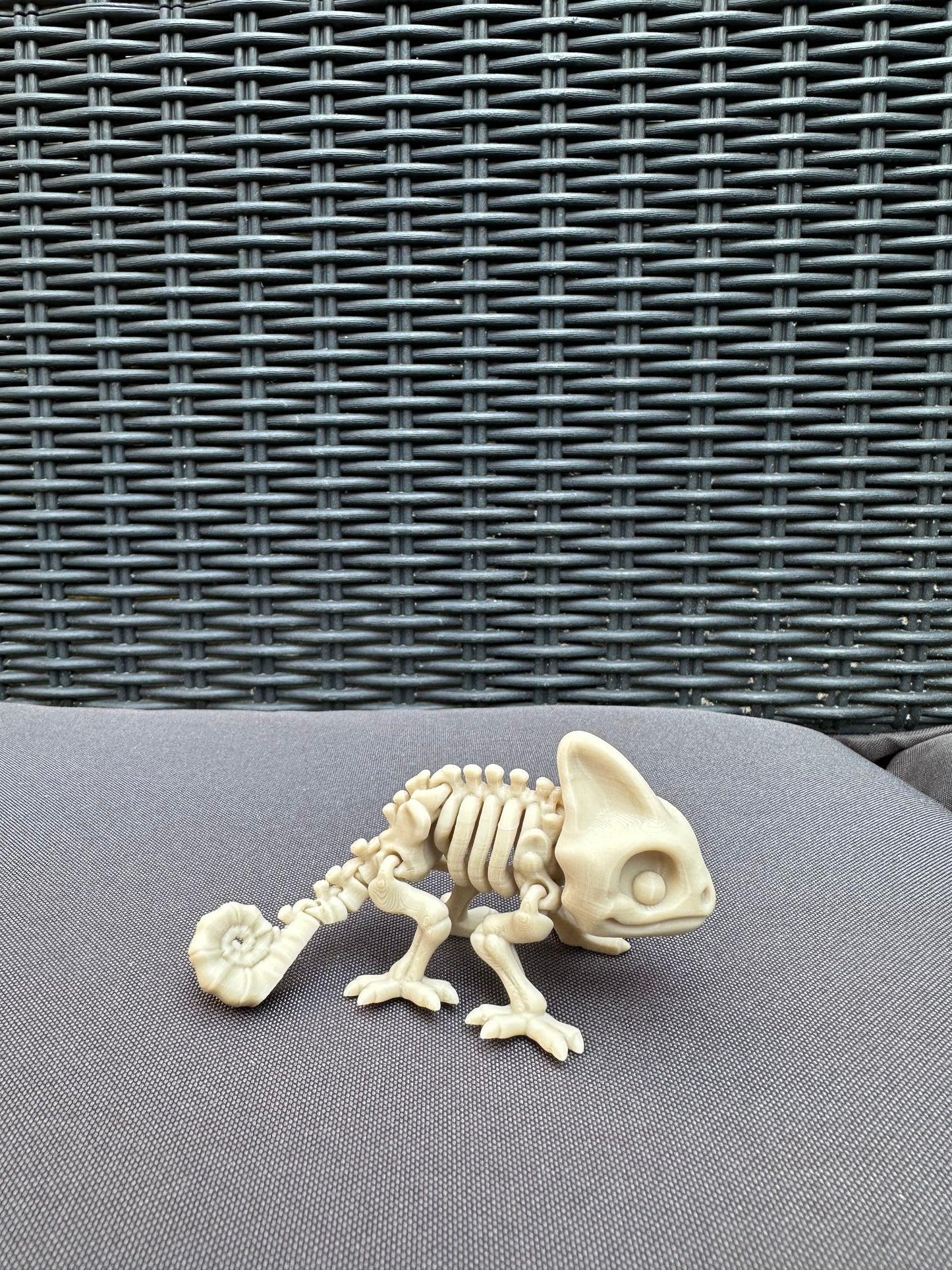 Skeleton chameleon