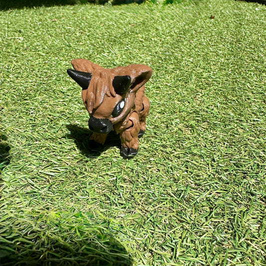 Highland Cow