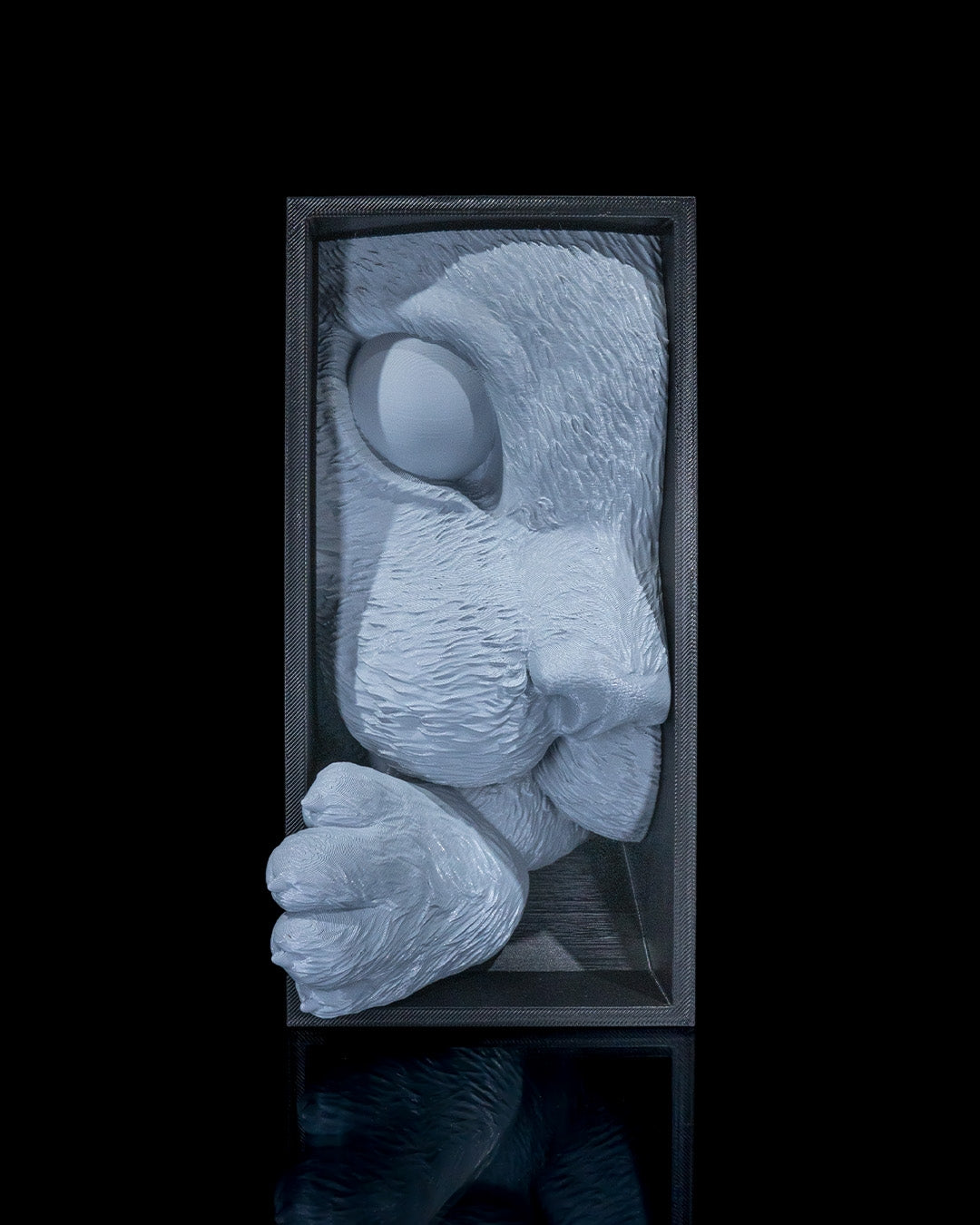 Cat's Curiosity Book Nook