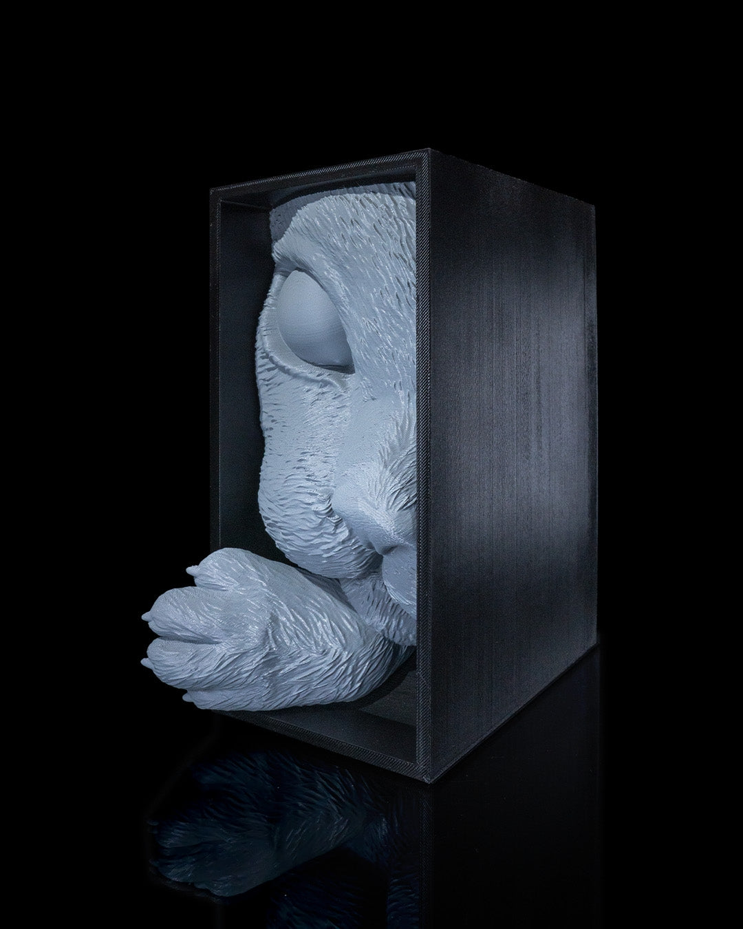 Cat's Curiosity Book Nook