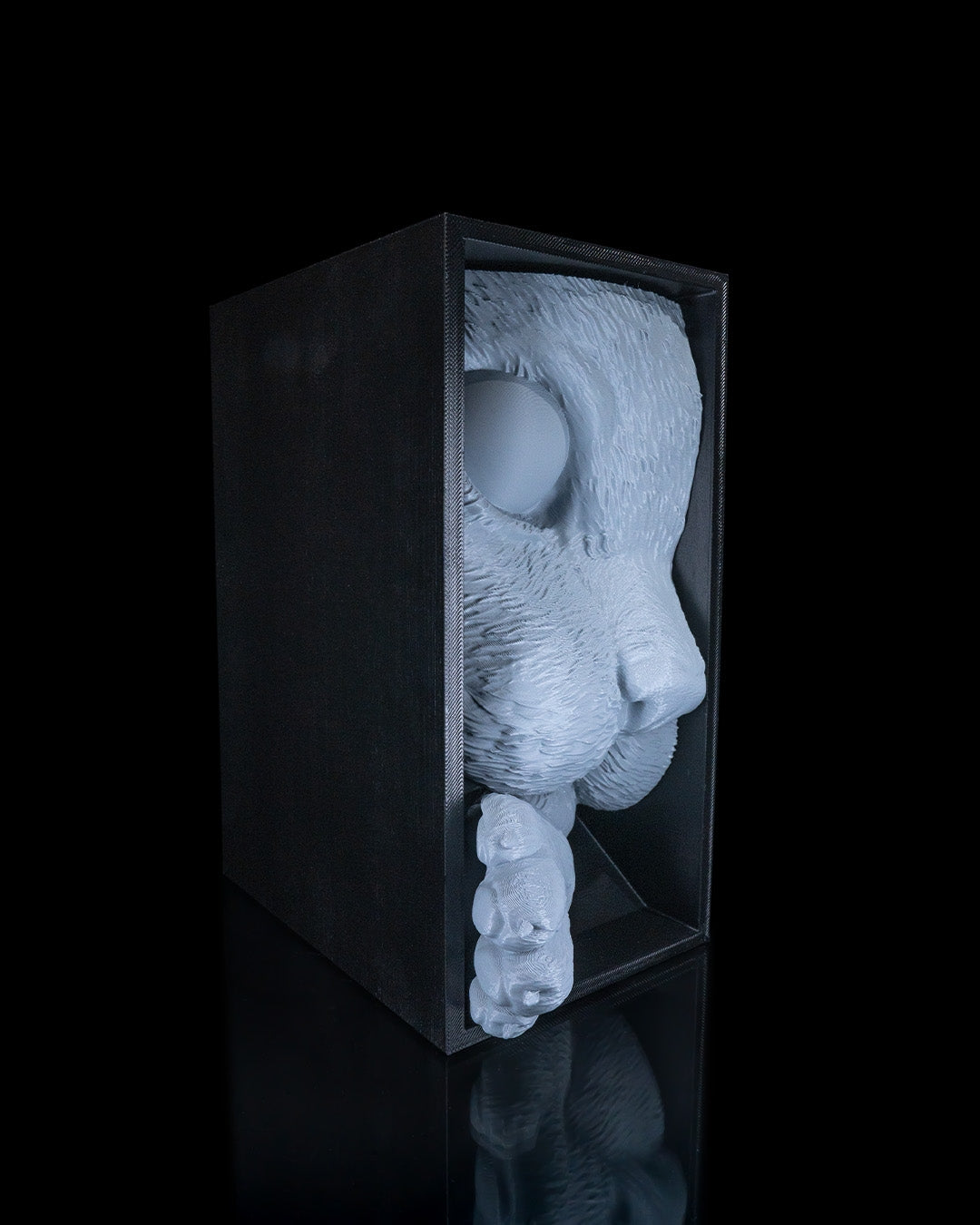 Cat's Curiosity Book Nook