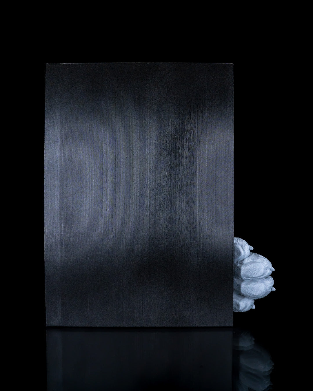 Cat's Curiosity Book Nook